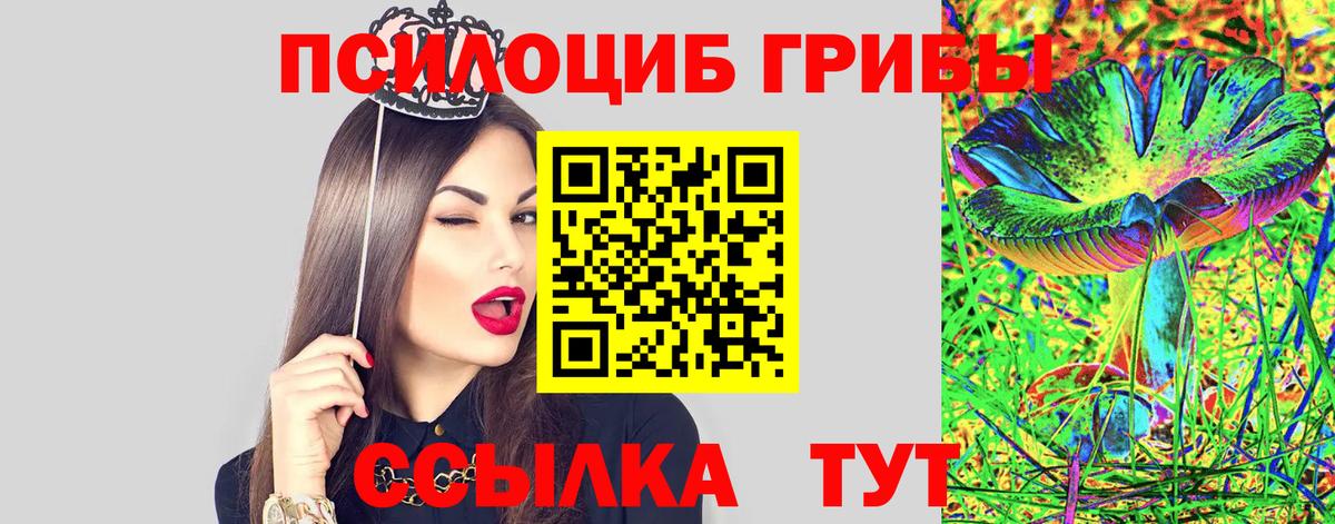 Псилоцибиновые грибы MAGIC MUSHROOMS Псков
