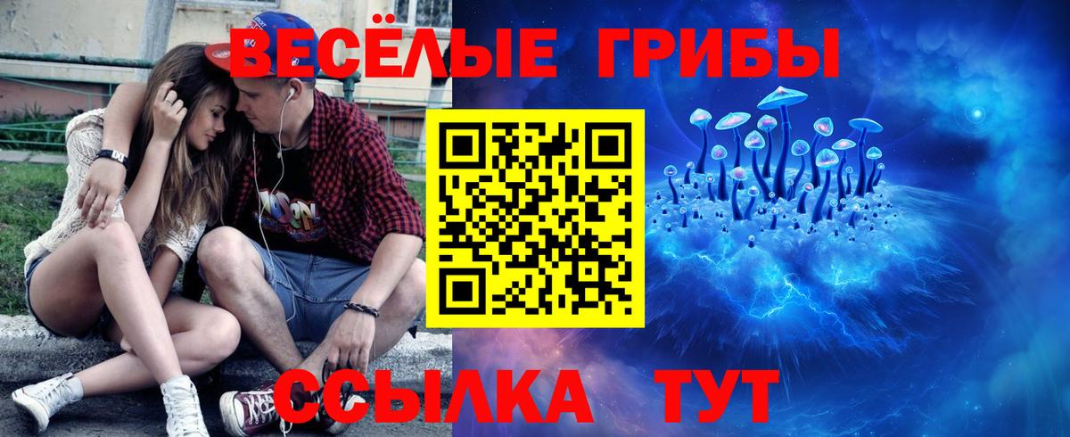 Псков  Псилоцибиновые грибы ЛСД  Псилоцибиновые грибы MAGIC MUSHROOMS  Вход с VPN 